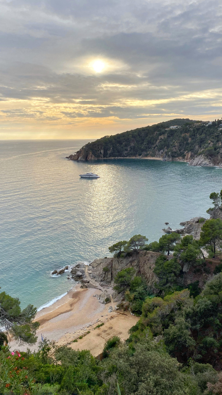 Обои побережье, водоем, берег, вода, гидроресурсы в разрешении 750x1334