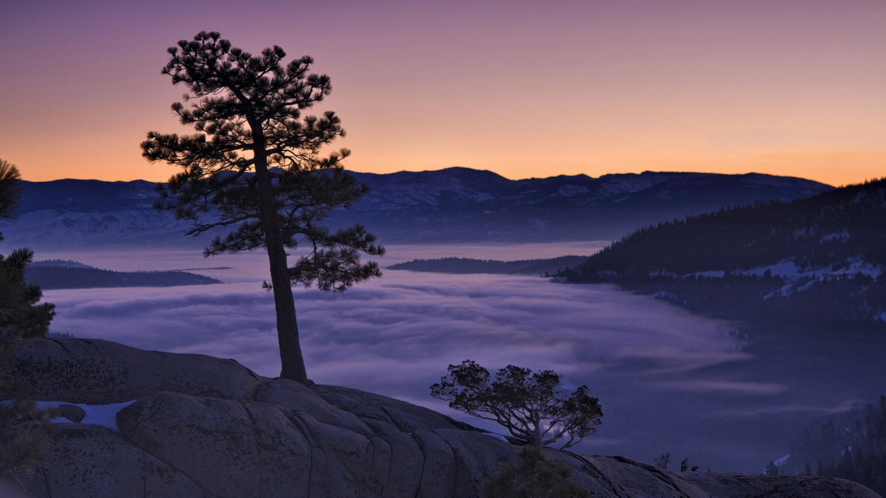 Обои озеро Тахо, природа, дерево, утро, восход солнца в разрешении 1280x720