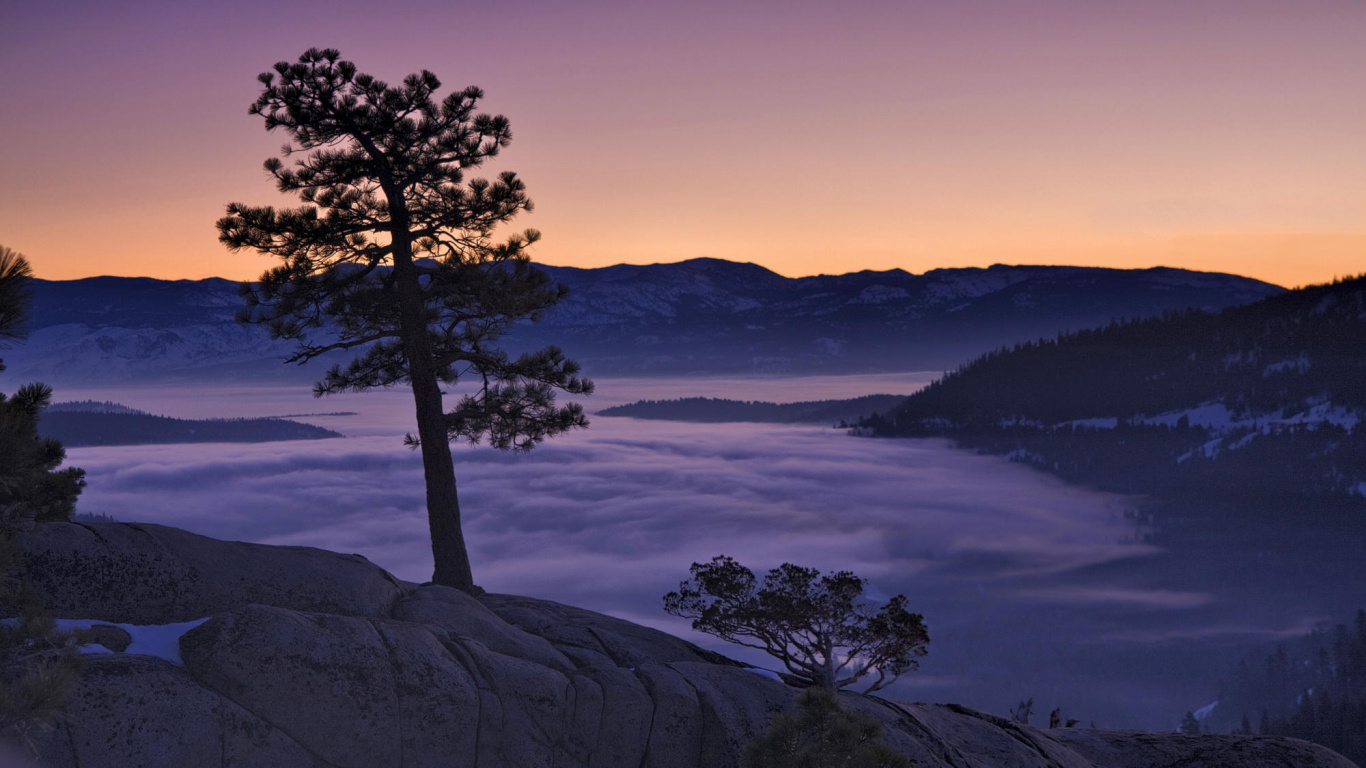 Обои озеро Тахо, природа, дерево, утро, восход солнца в разрешении 1366x768