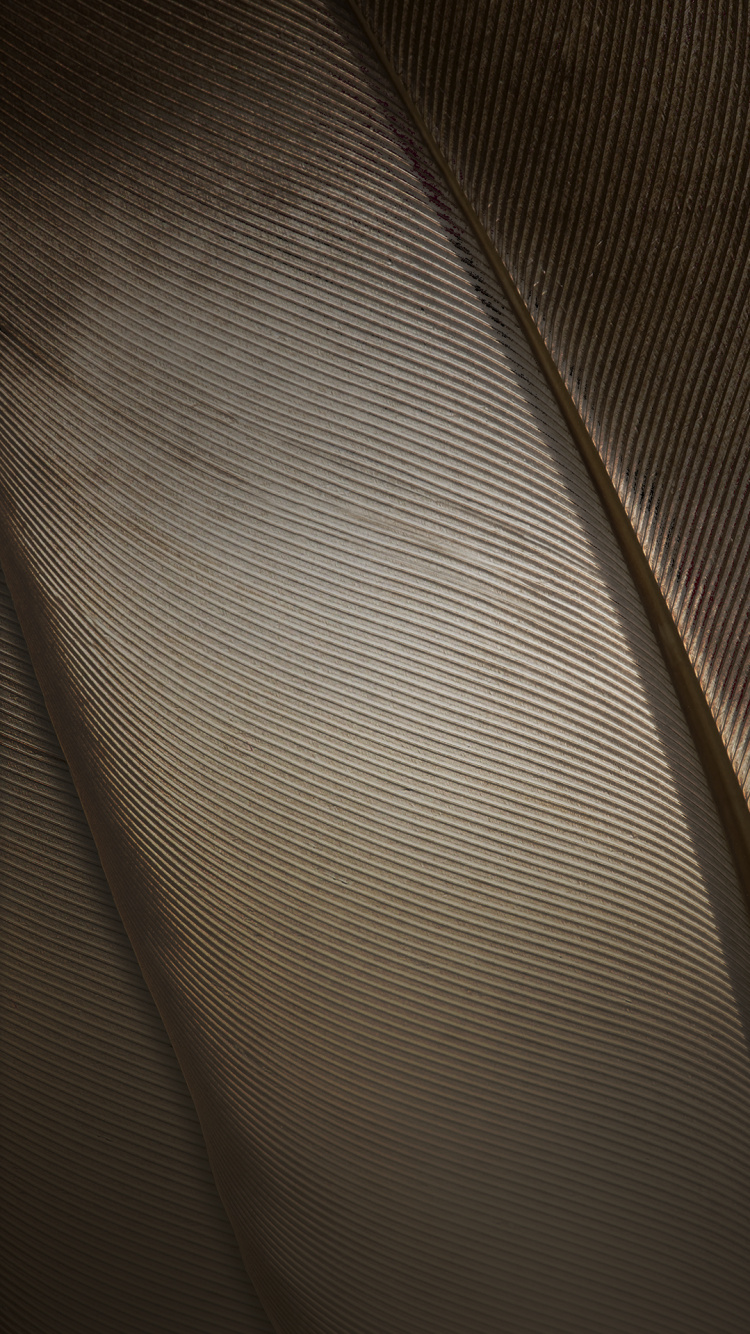 Обои ZTE, ZTE Nubia Z11, свет, nubia z11, Нубия в разрешении 750x1334