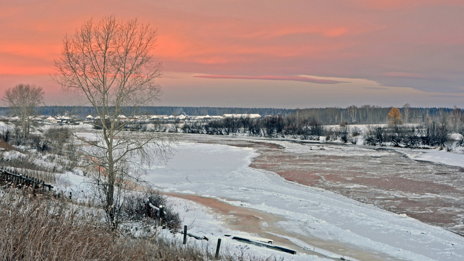 Обои зима, снег, замораживание, дерево, утро в разрешении 1920x1080