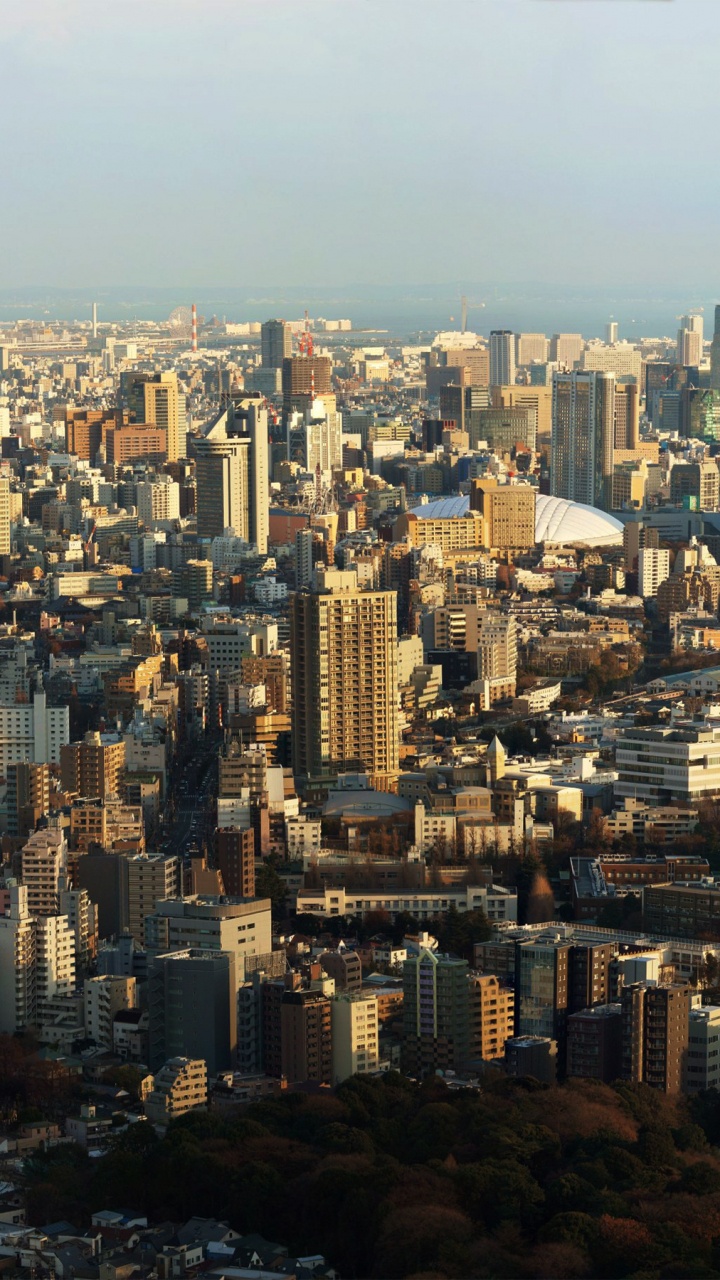 Обои городской пейзаж, Сеул, город, городской район, метрополия в разрешении 720x1280