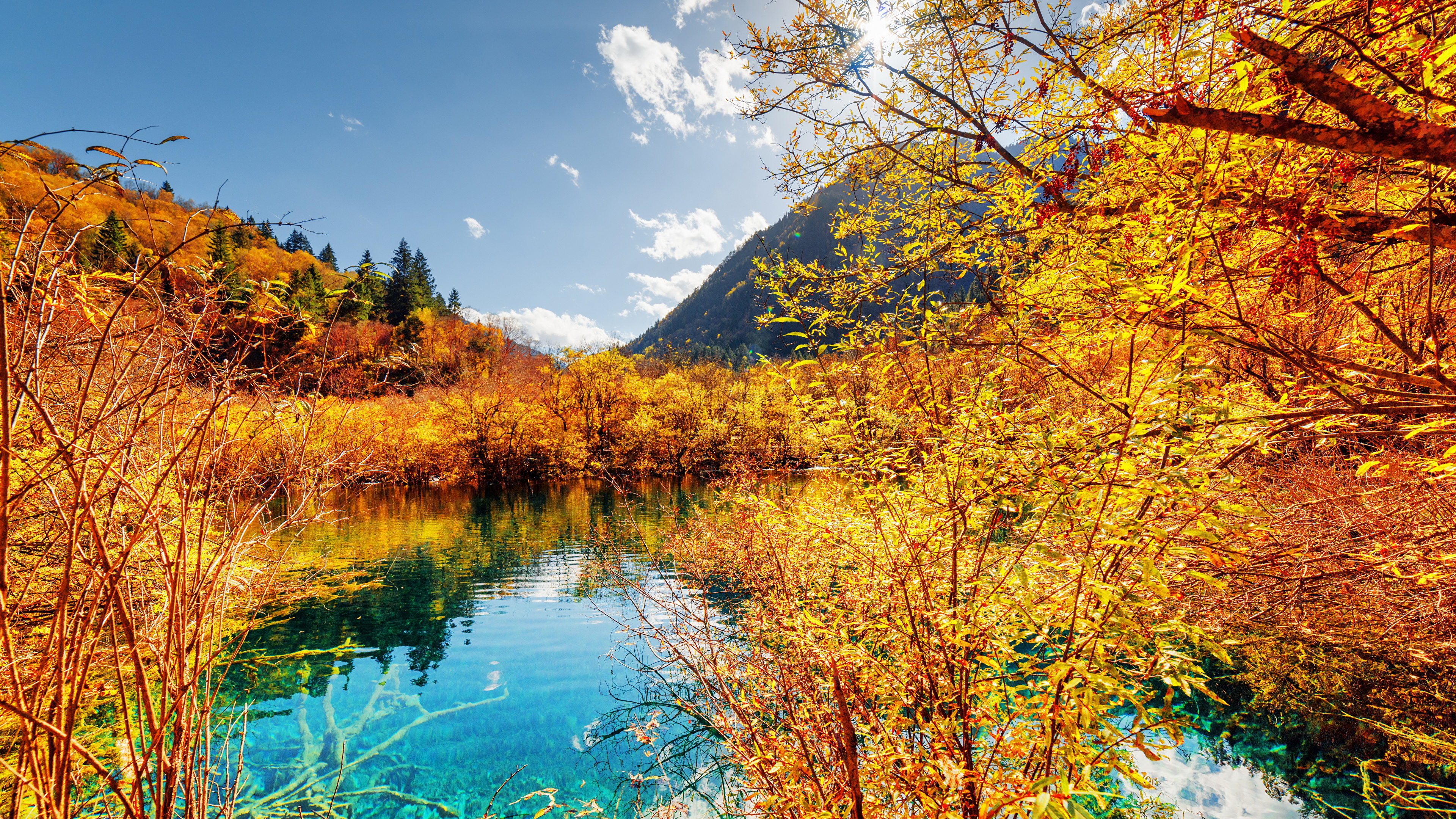 Обои парк, природа, природный заповедник, озеро, отражение в разрешении 3840x2160