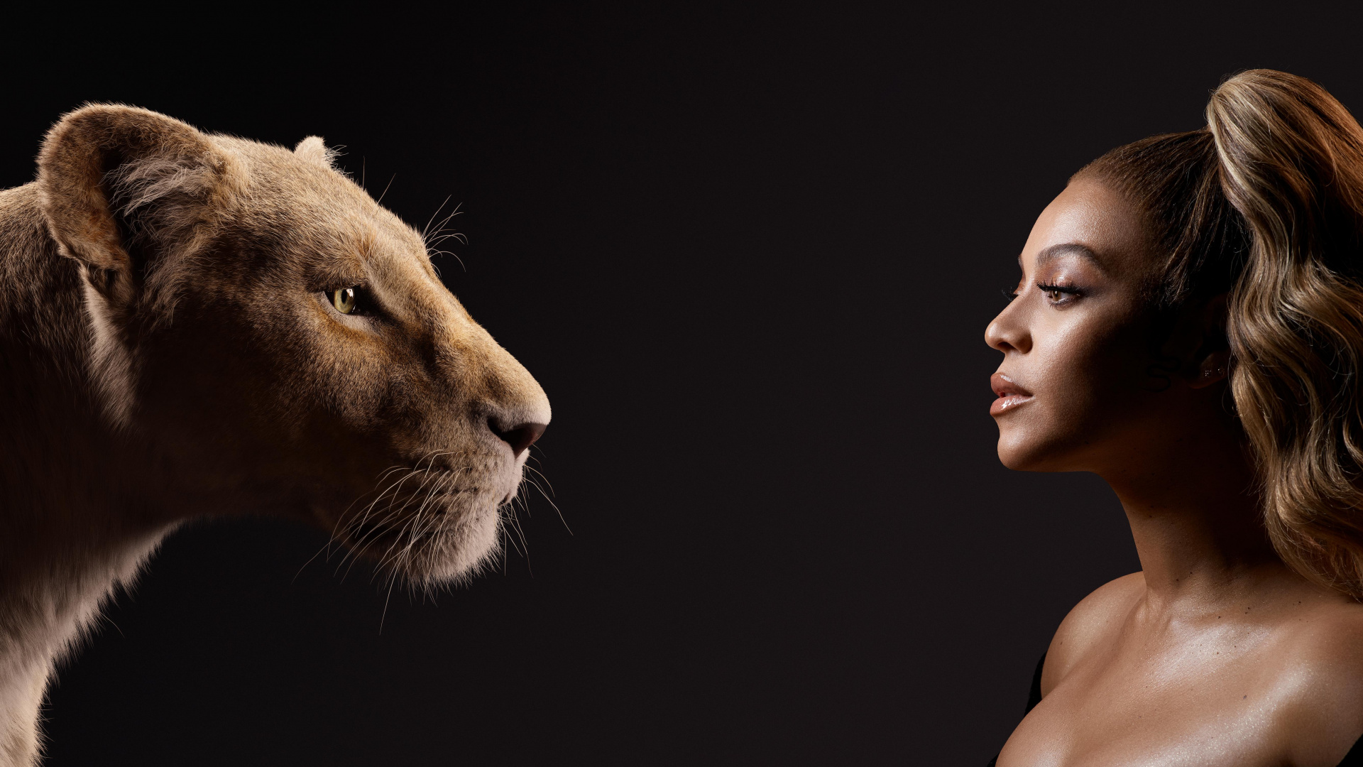 Обои король-лев, налы, Лев, Симба, король лев подарок в разрешении 1920x1080