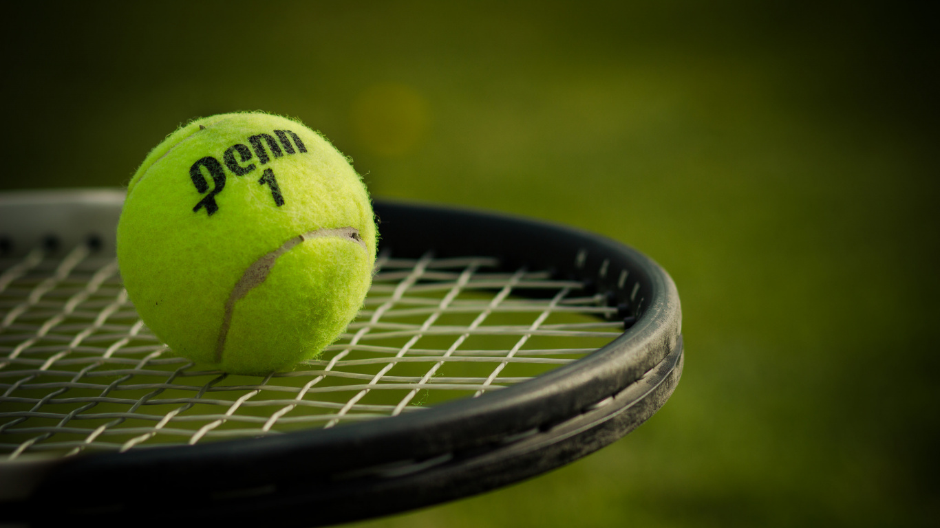 Обои теннис, теннисный мяч, мяч, теннисная ракетка аксессуары, занятие спортом в разрешении 1366x768