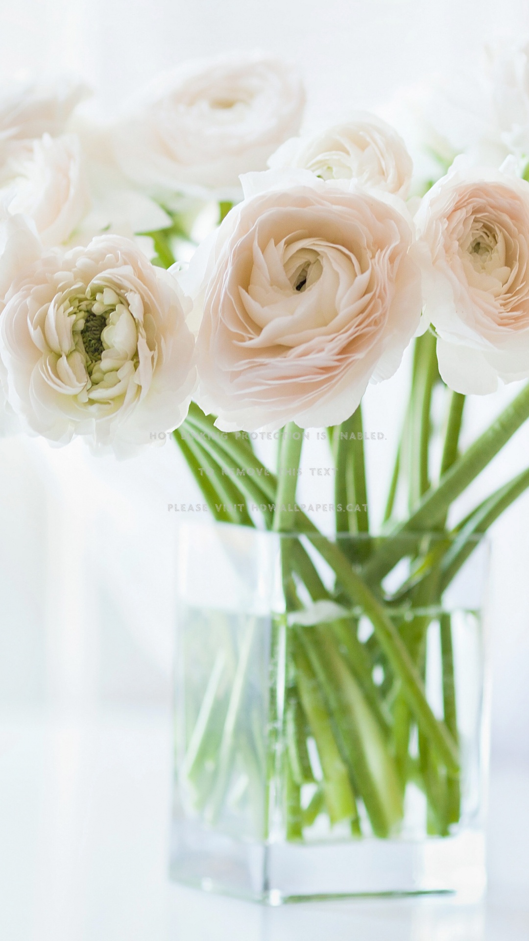 Обои цветковое растение, ваза, персидский лютик, цветок, букет в разрешении 1080x1920