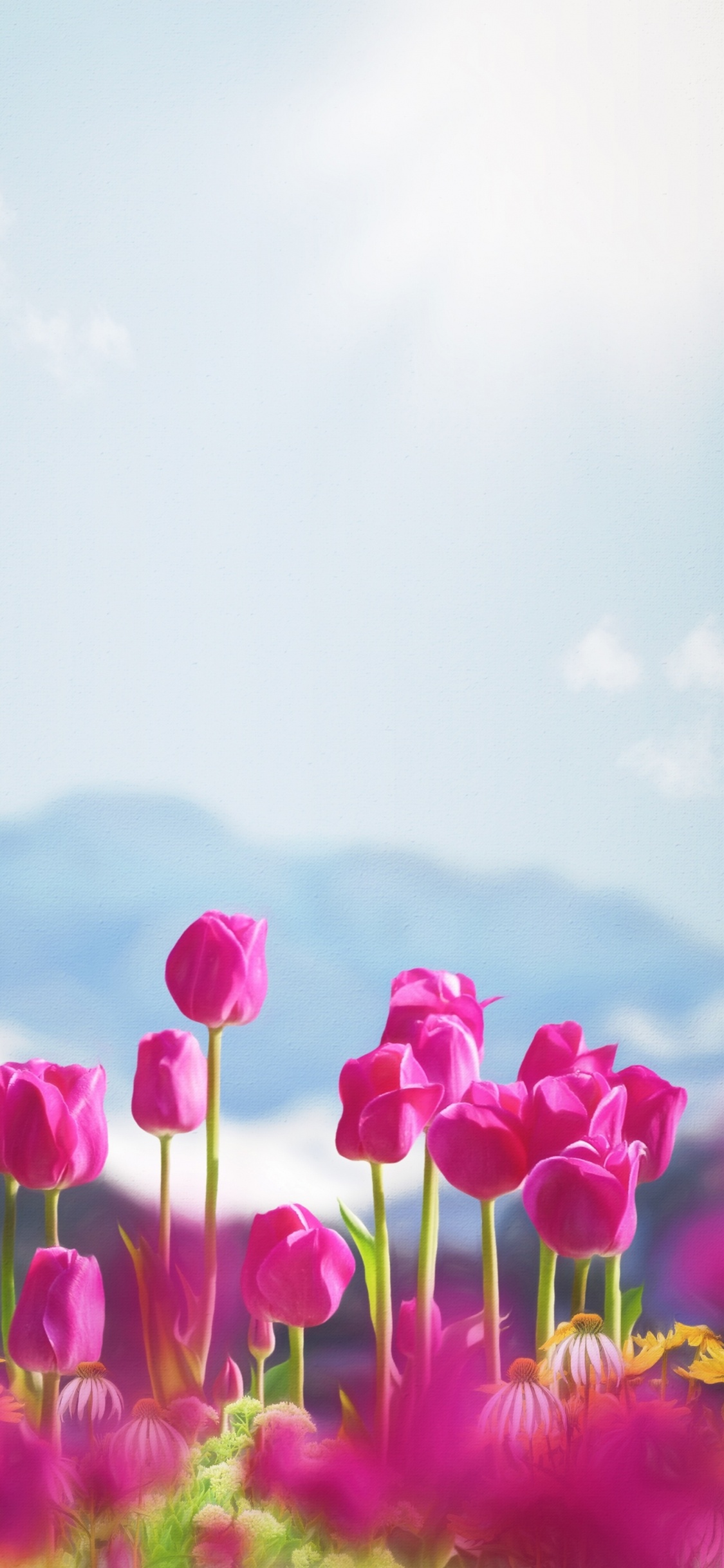 Обои ios, смартфон, облако, цветок, растение в разрешении 1125x2436