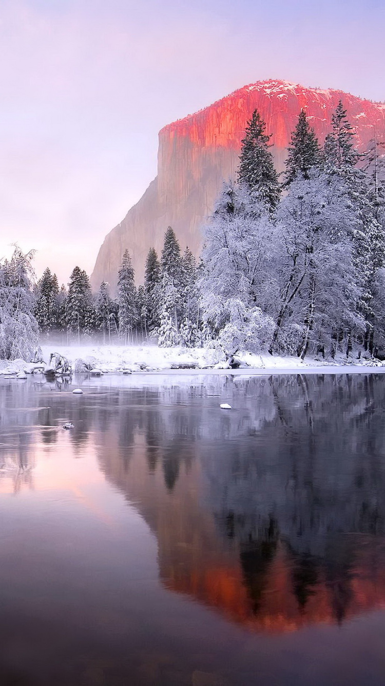 Обои отражение, природа, зима, замораживание, дикая местность в разрешении 750x1334