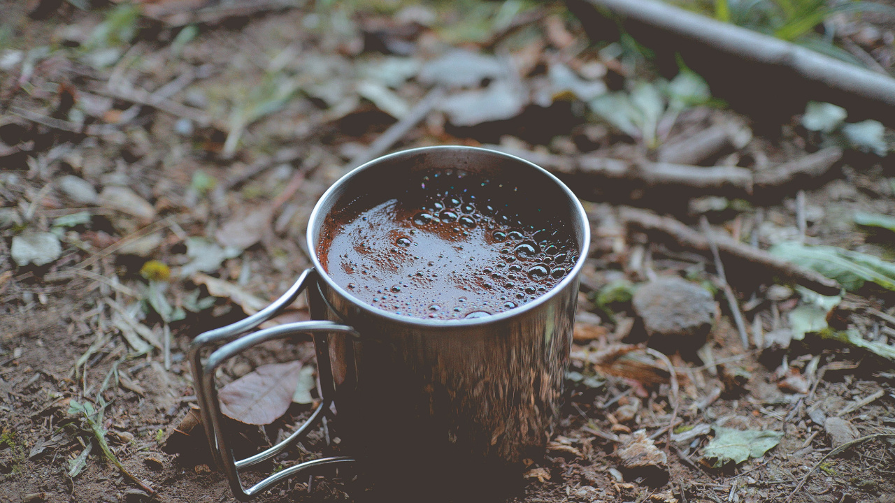 Обои лист, почва, напиток, кружка, кофейная чашка в разрешении 1280x720