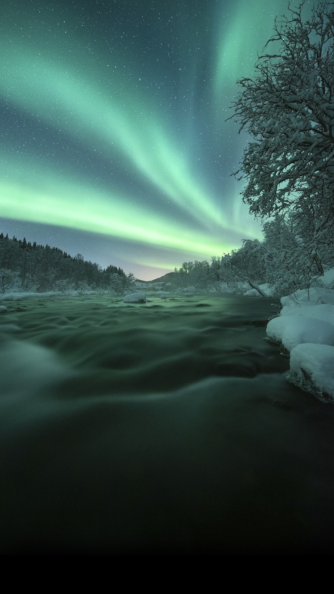 Обои природа, атмосфера, Аврора, дерево, природный ландшафт в разрешении 1080x1920