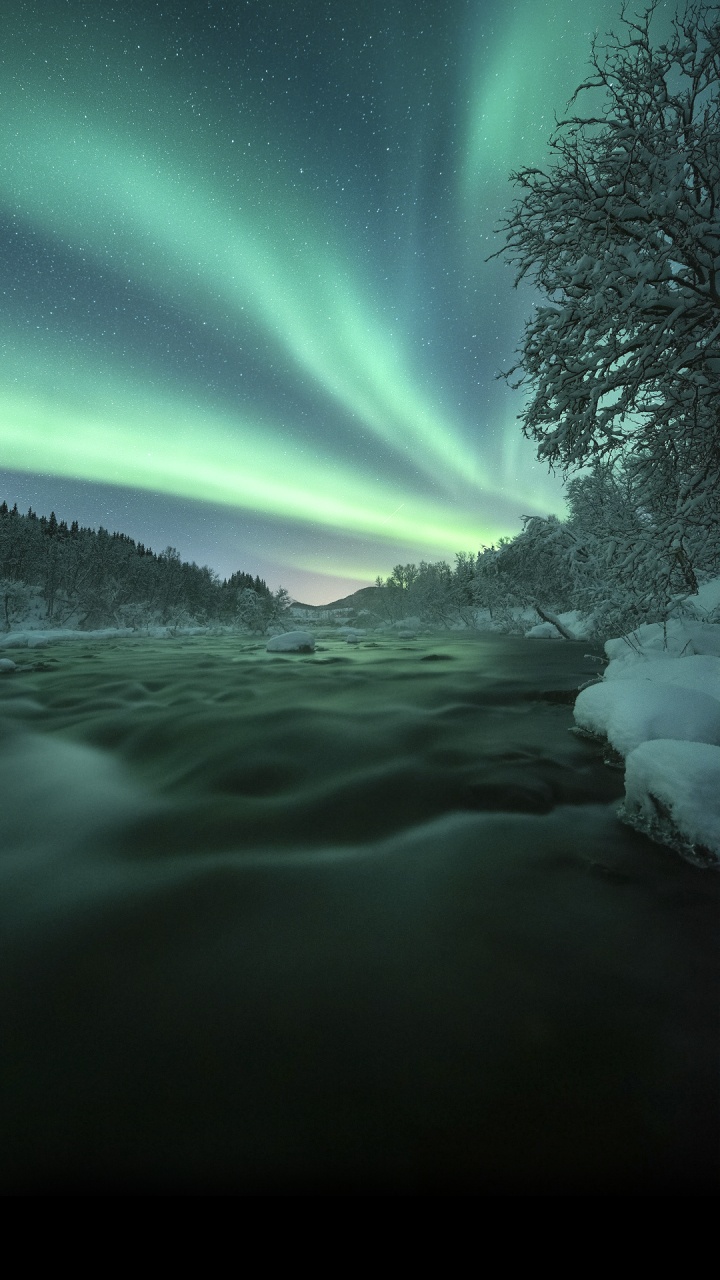 Обои природа, атмосфера, Аврора, дерево, природный ландшафт в разрешении 720x1280