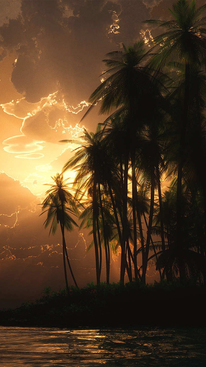 Обои природа, закат, восход солнца, вечер, Информация в разрешении 720x1280