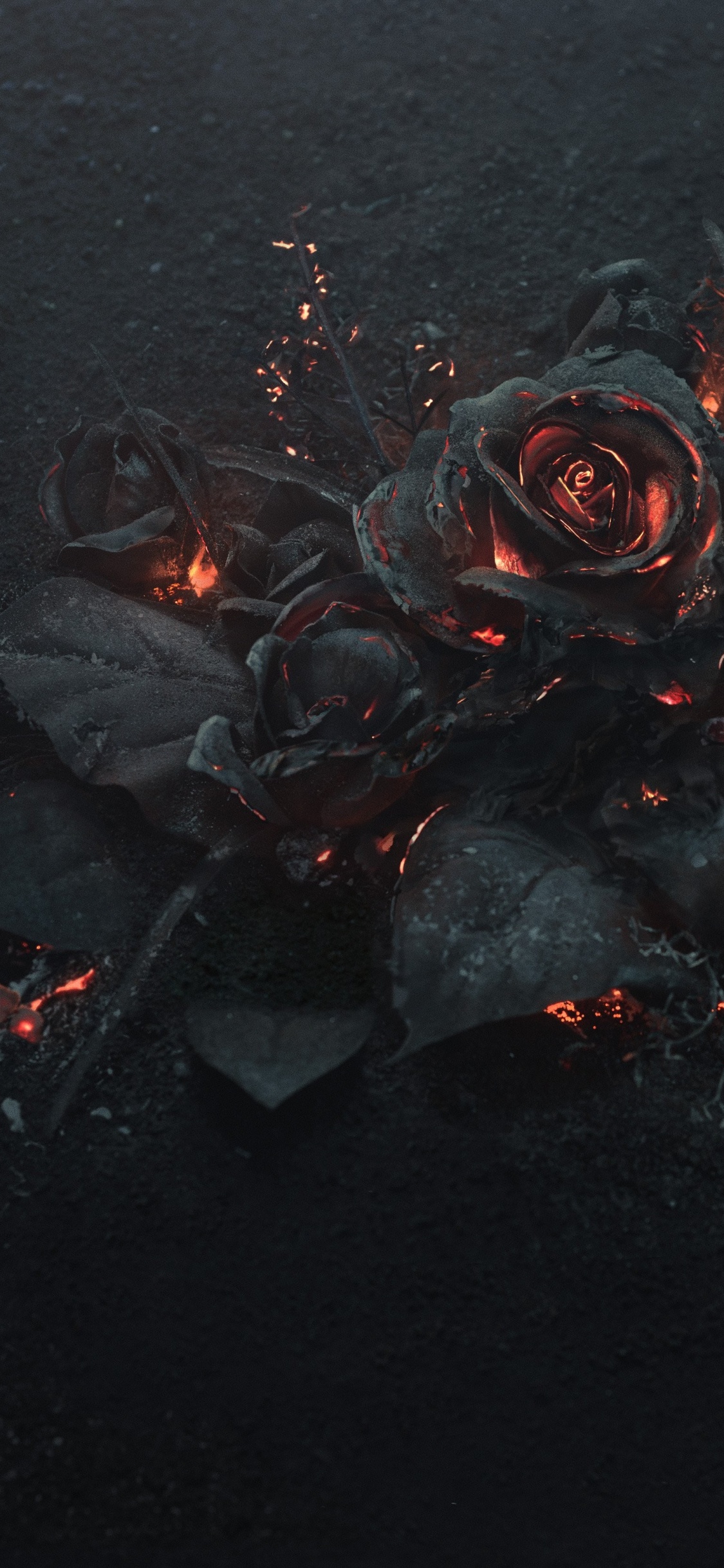 Обои вода, ночь, графика, Роза, цветок в разрешении 1125x2436