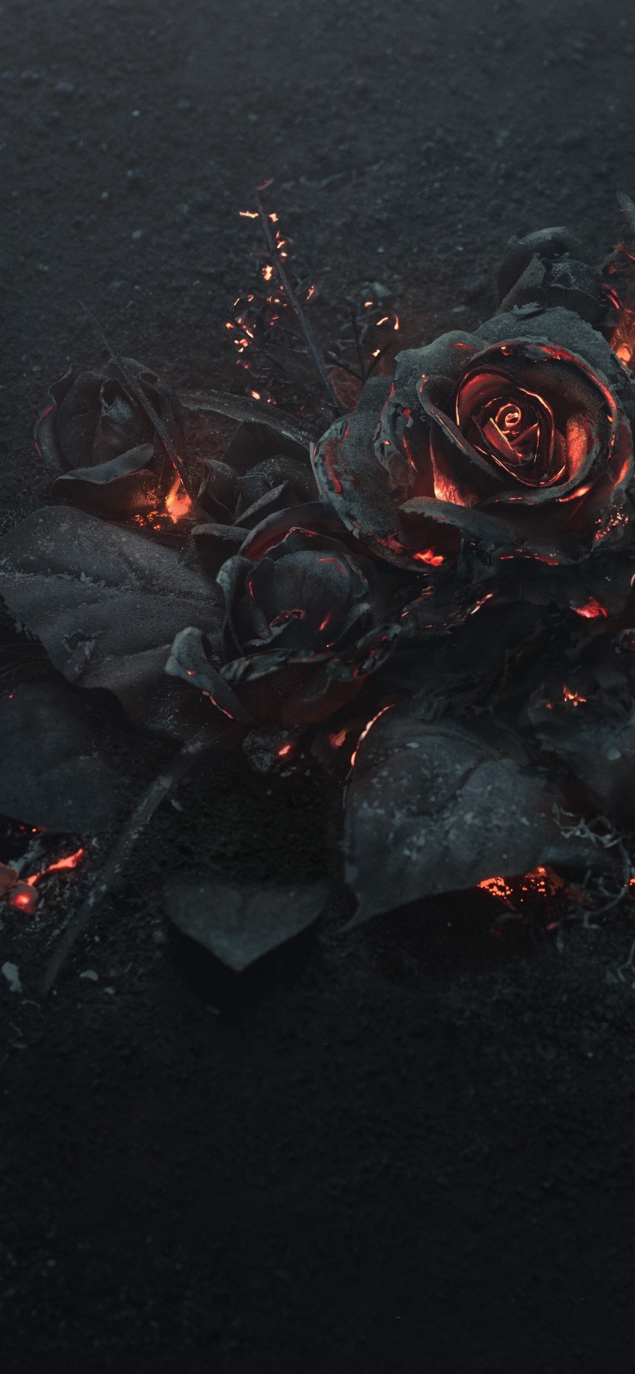 Обои вода, ночь, графика, Роза, цветок в разрешении 1242x2688