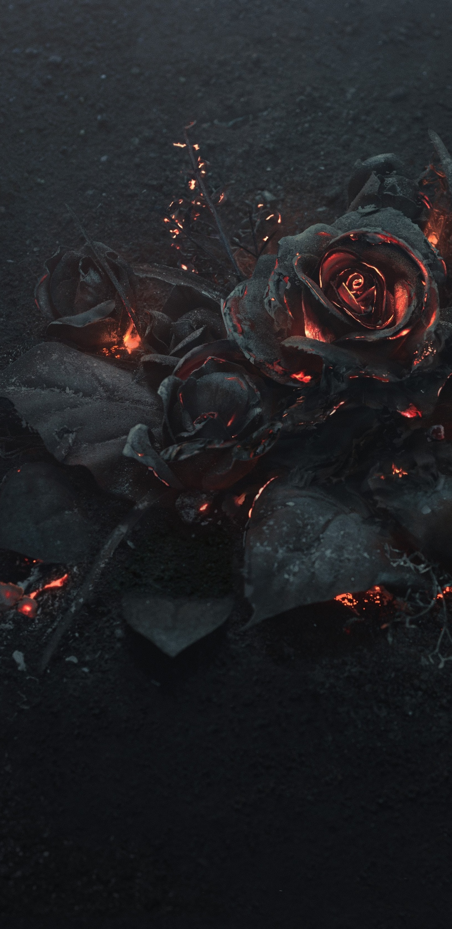 Обои вода, ночь, графика, Роза, цветок в разрешении 1440x2960