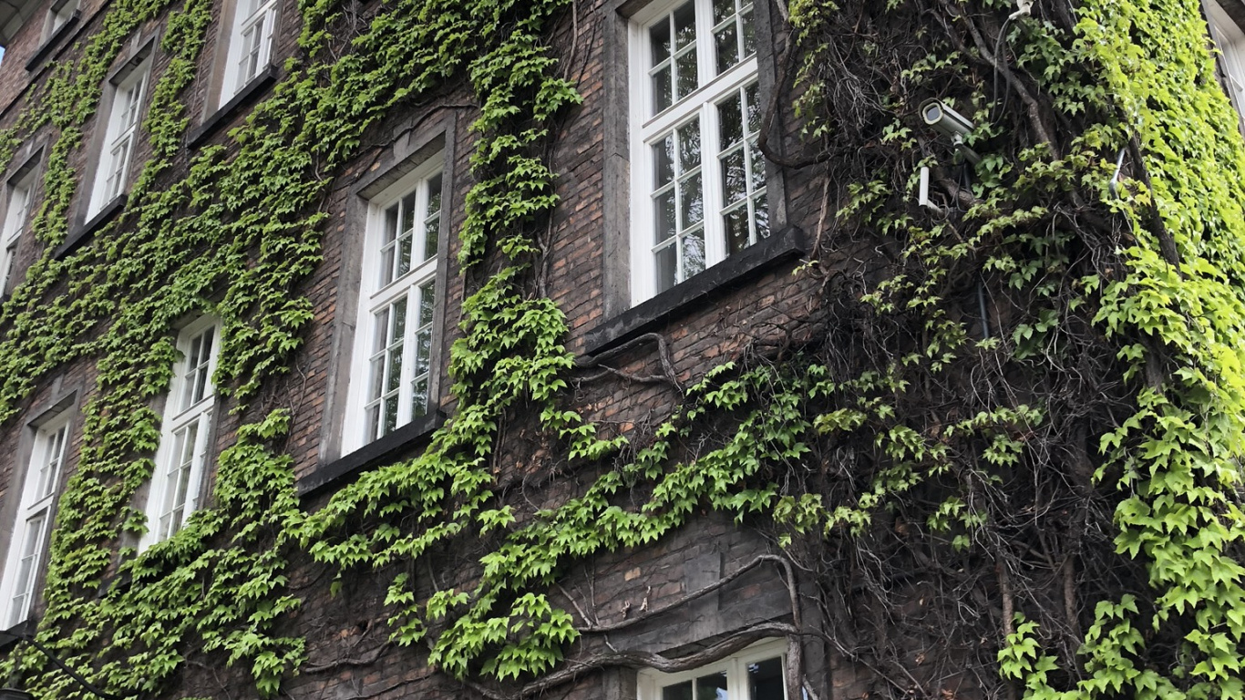 Обои Хаус, недвижимость, средневековая архитектура, кондоминиум, окно в разрешении 1366x768