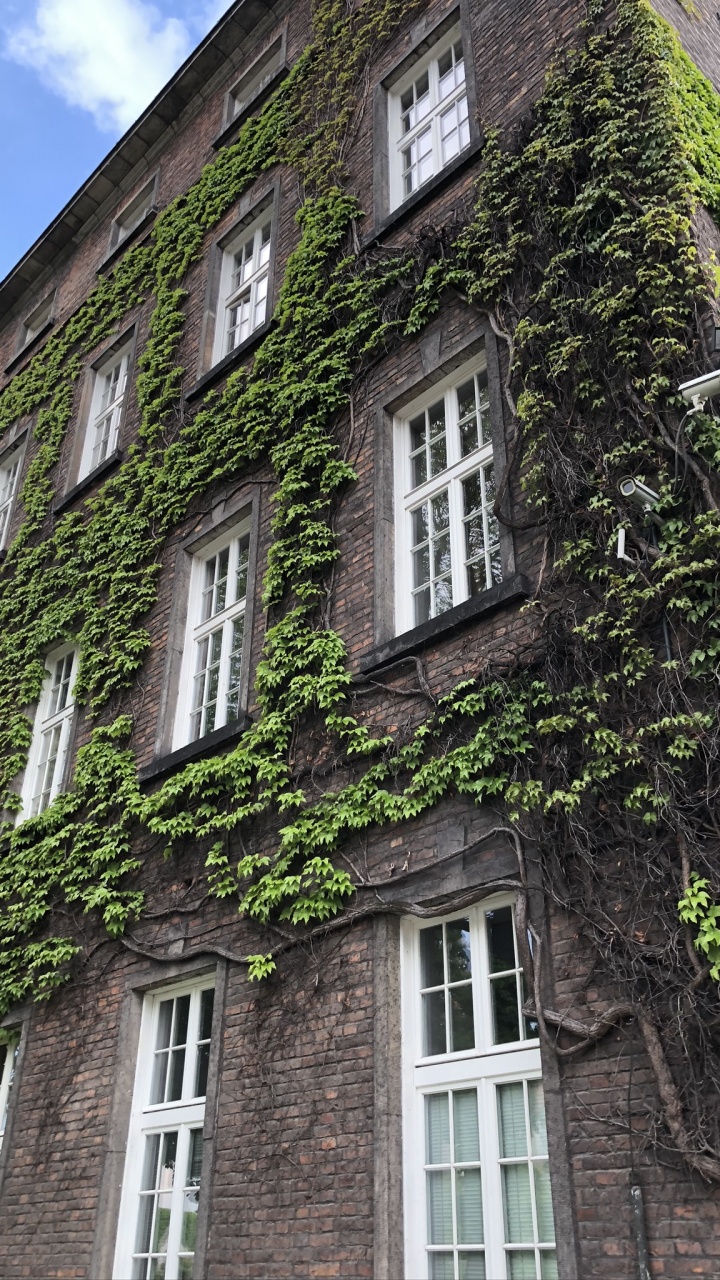 Обои Хаус, недвижимость, средневековая архитектура, кондоминиум, окно в разрешении 720x1280