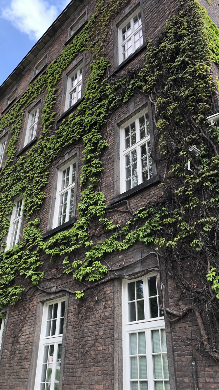 Обои Хаус, недвижимость, средневековая архитектура, кондоминиум, окно в разрешении 750x1334