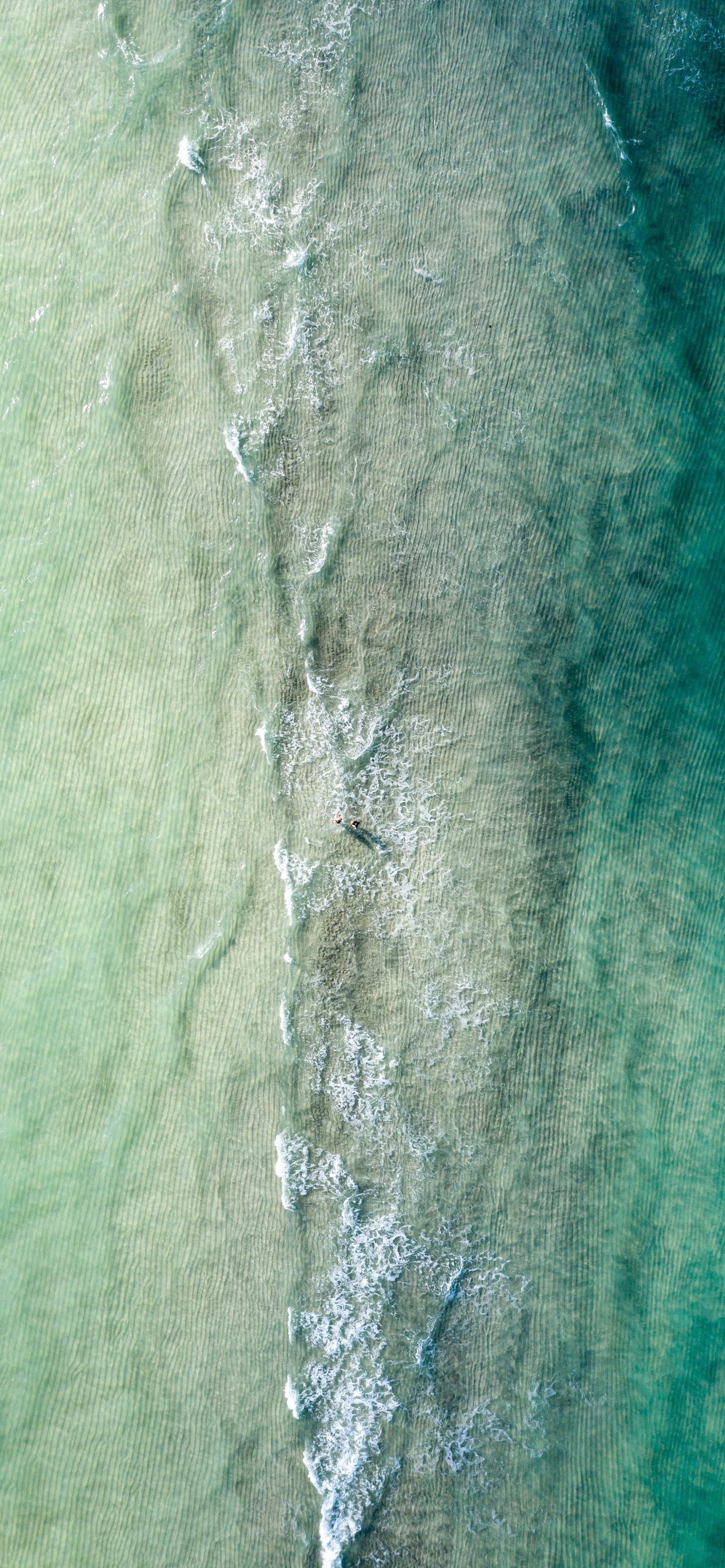 Обои зеленый, бирюза, Аква, вода, дерево в разрешении 1242x2688