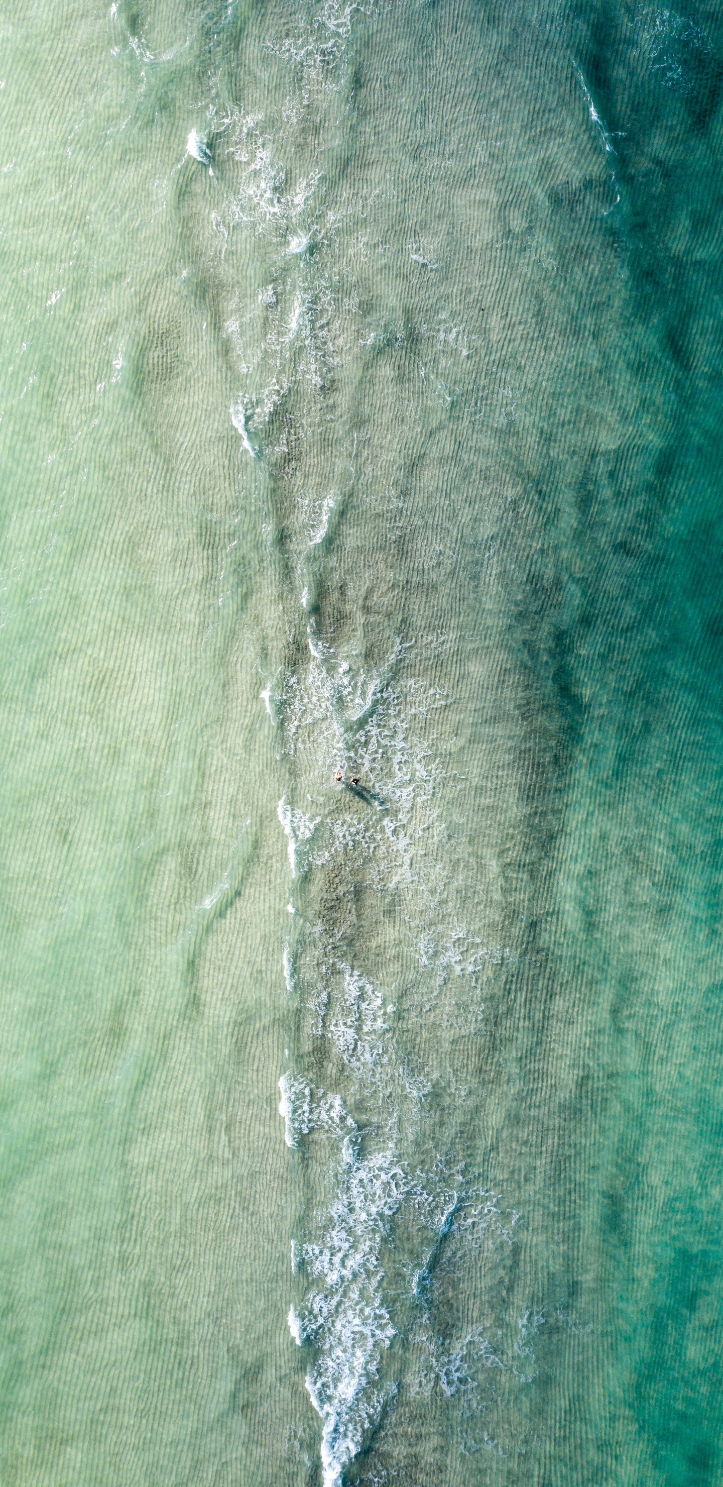 Обои зеленый, бирюза, Аква, вода, дерево в разрешении 1440x2960