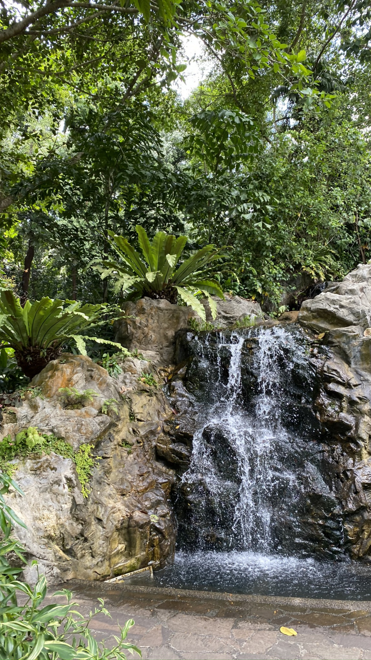 Обои природа, водопад, водоток, гидроресурсы, водоем в разрешении 750x1334