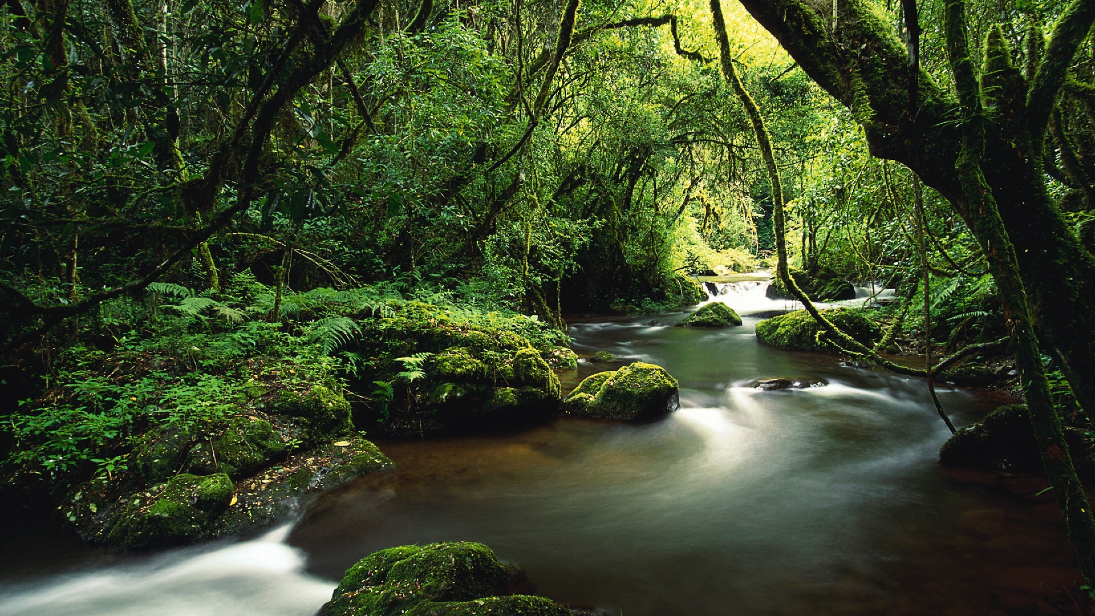 Обои водоем, природа, поток, вода, растительность в разрешении 3840x2160