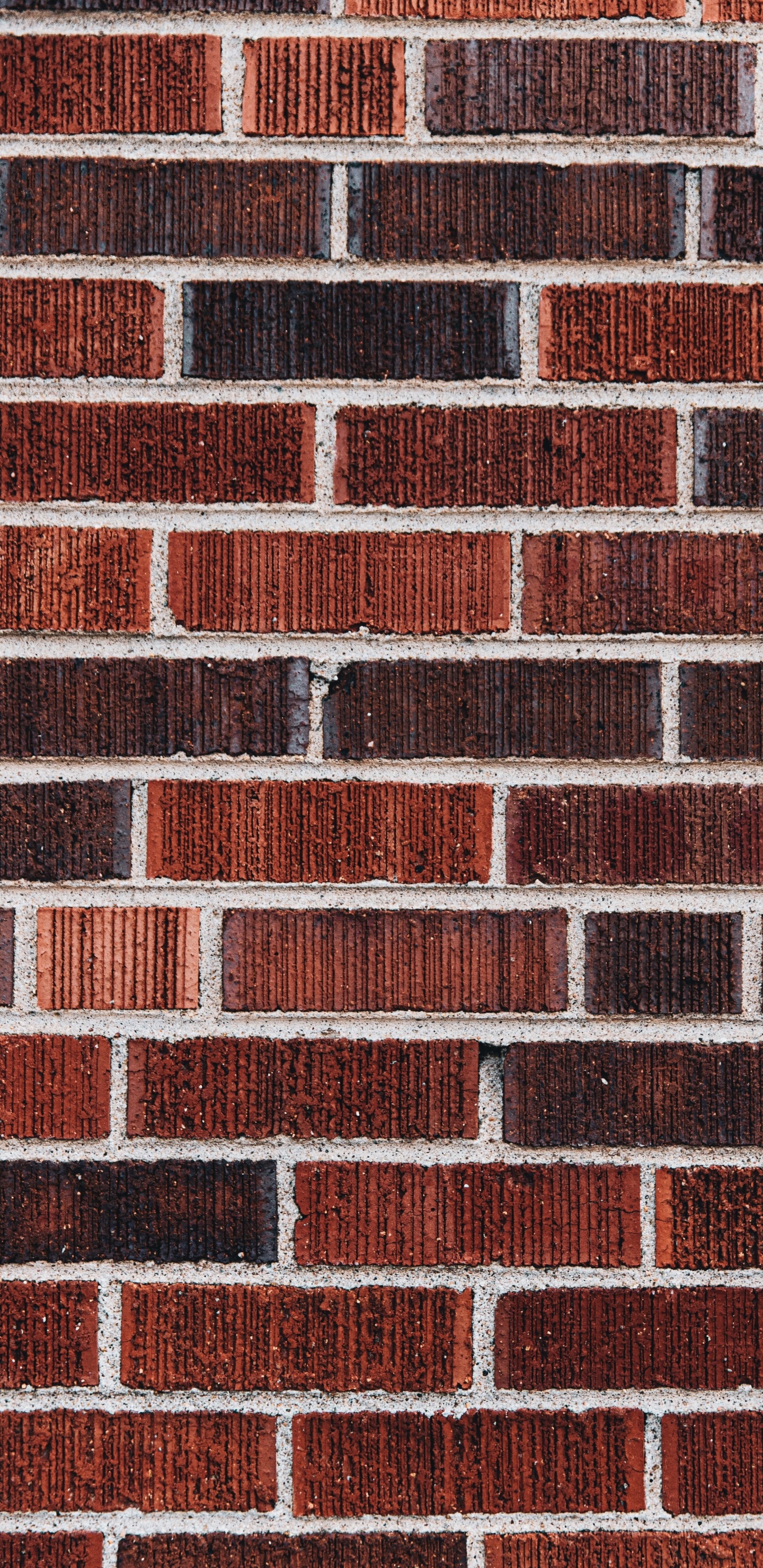 Обои стена, кирпич, иллюстрация, кирпичная кладка, прямоугольник в разрешении 1440x2960