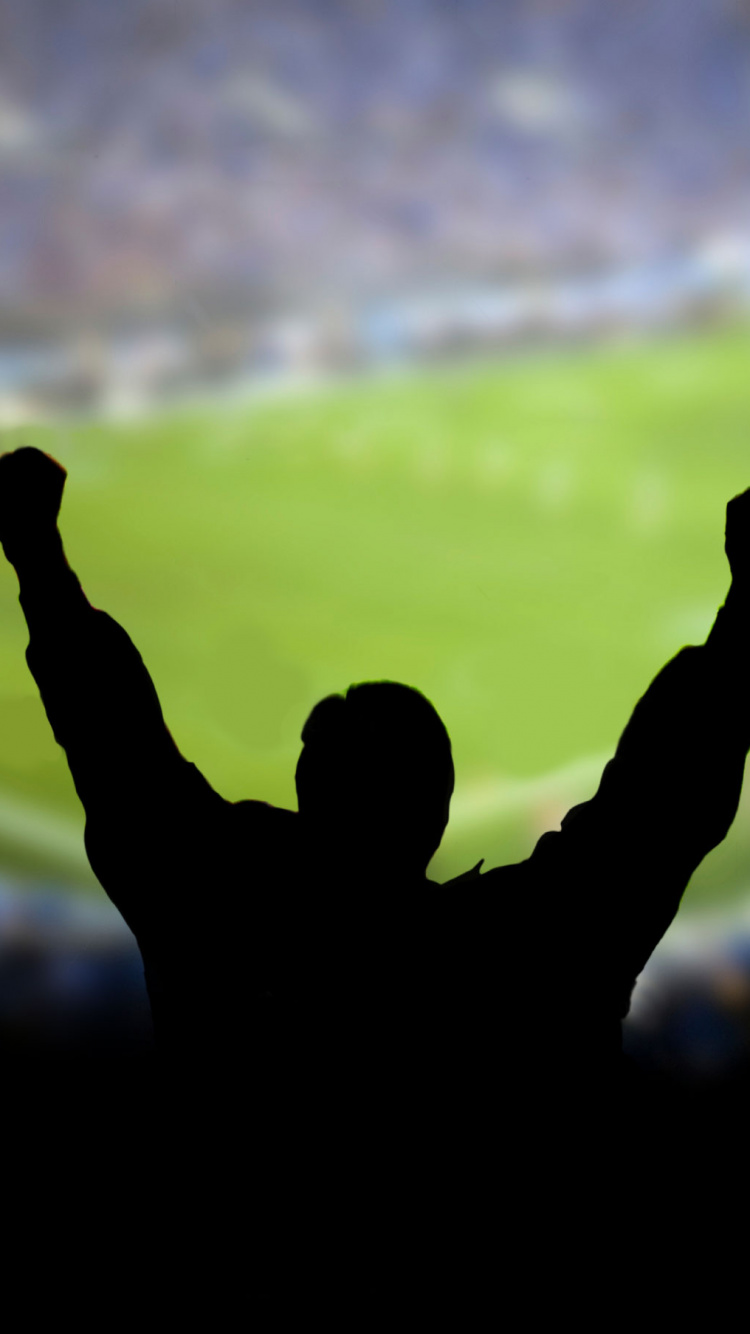 Обои толпа, атмосфера, трава, Премьер Лига, зеленый в разрешении 750x1334