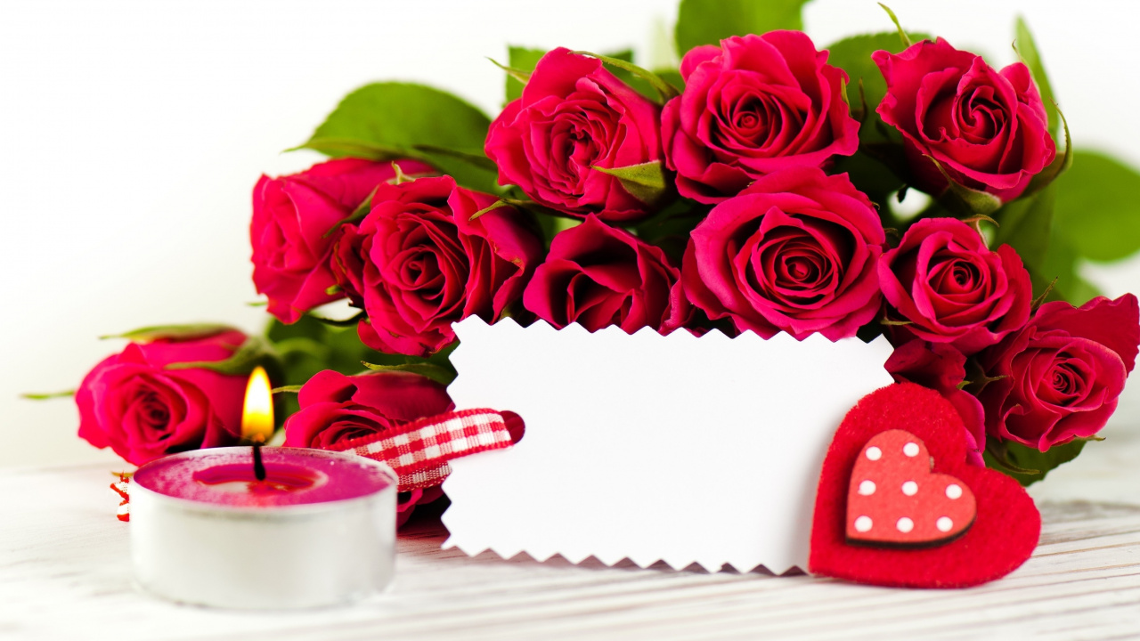 Обои цветок, Роза, срезанные цветы, сад роз, семья Роуз в разрешении 1280x720