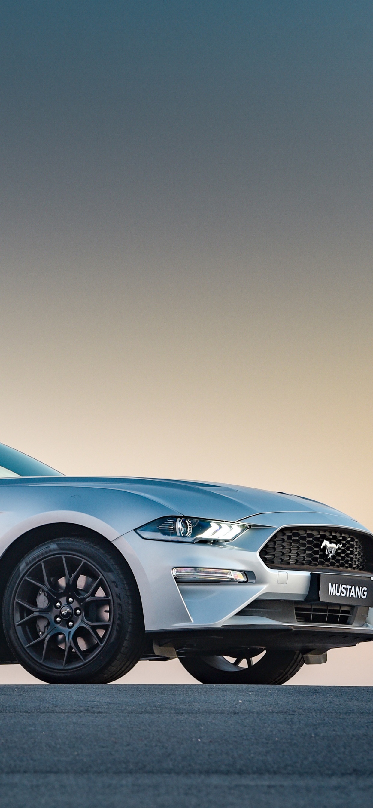 Обои Форд Мустанг, 2019 Форд Мустанг, легковые автомобили, Шелби Мустанг, ford gt в разрешении 1242x2688