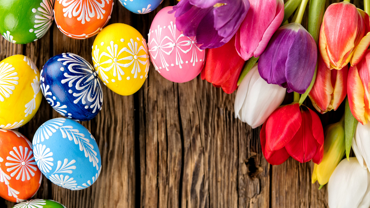 Обои пасхальное яйцо, весна, тюльпаны, пасха, цветок в разрешении 1280x720
