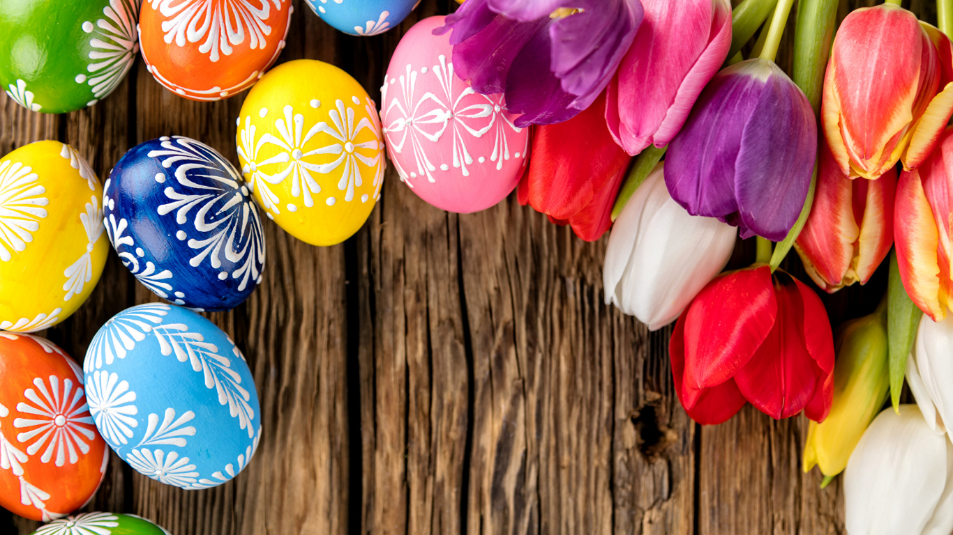 Обои пасхальное яйцо, весна, тюльпаны, пасха, цветок в разрешении 1366x768