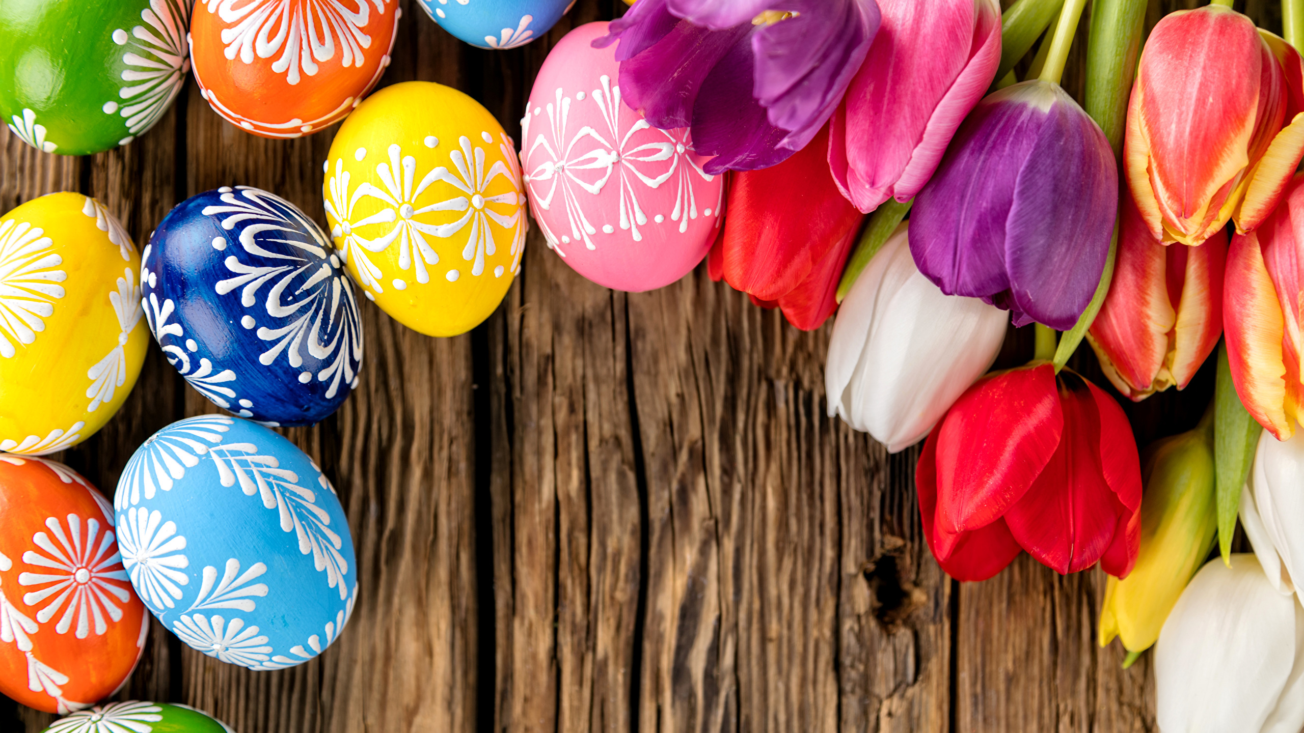 Обои пасхальное яйцо, весна, тюльпаны, пасха, цветок в разрешении 2560x1440