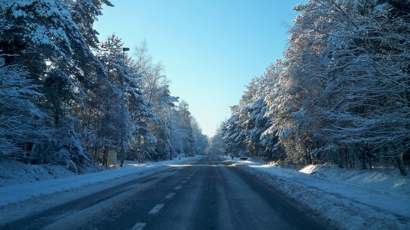 Обои снег, дорога, зима, дерево, мороз в разрешении 1366x768