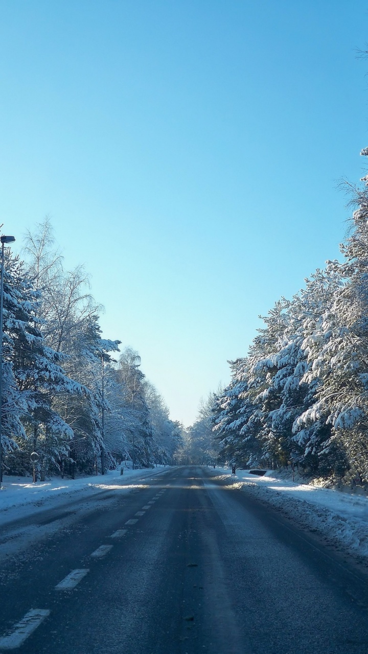 Обои снег, дорога, зима, дерево, мороз в разрешении 720x1280