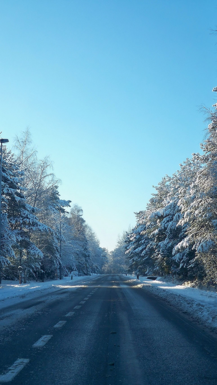 Обои снег, дорога, зима, дерево, мороз в разрешении 750x1334