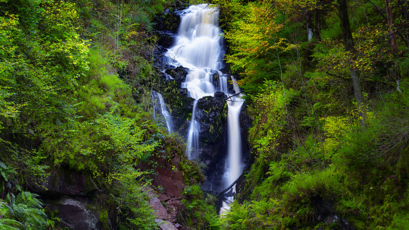 Обои водопад, водоток, лес, водоем, природа в разрешении 1366x768