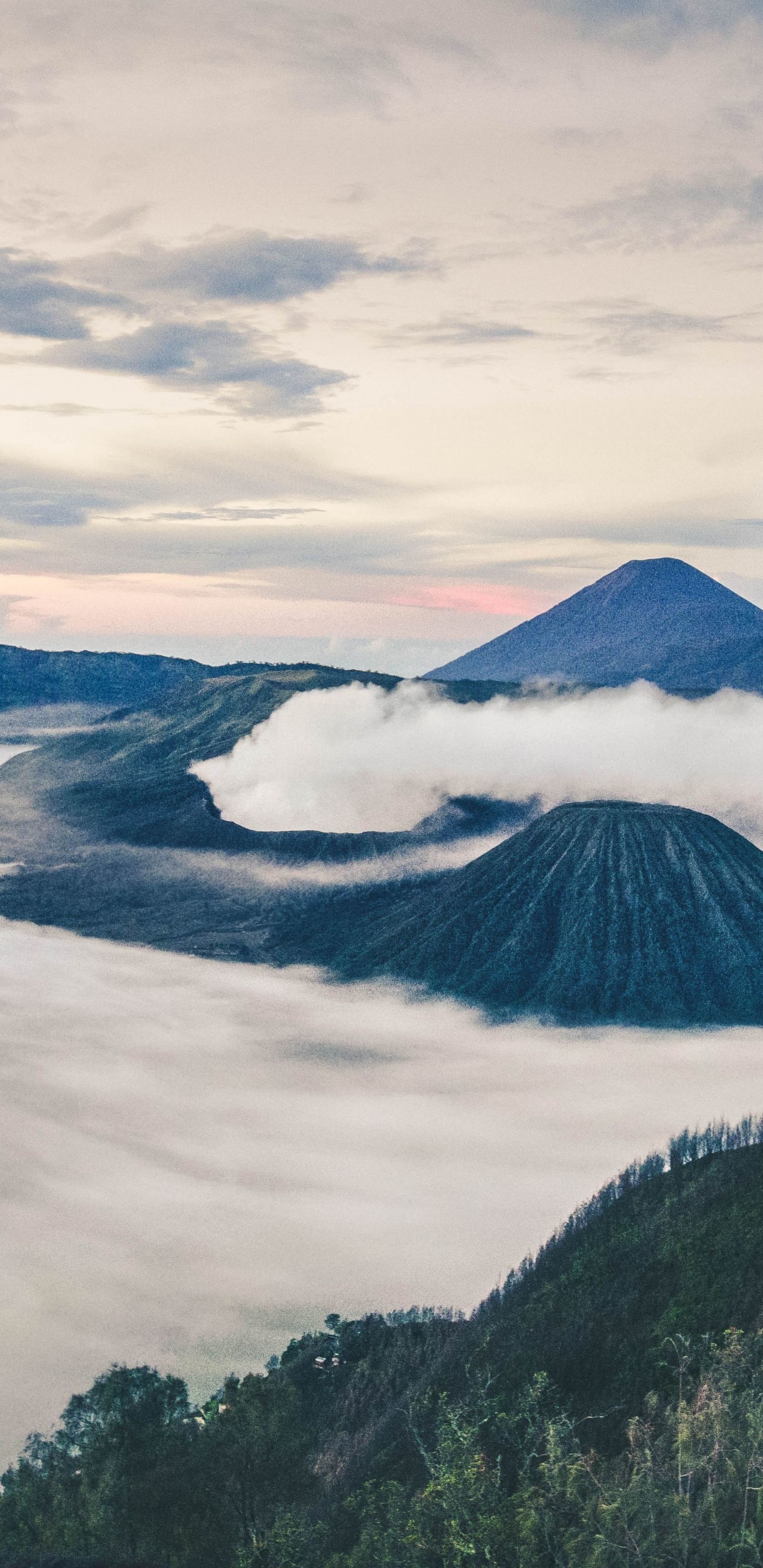 Обои Гора Бромо, облако, гора, нагорье, кучевое облако в разрешении 1440x2960