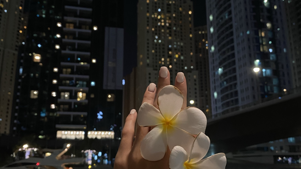 Обои ночь, башня, метрополия, лепесток, кондоминиум в разрешении 1280x720