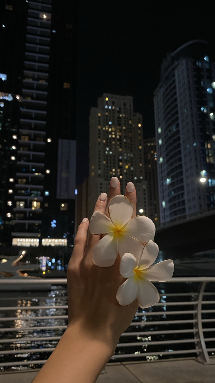 Обои ночь, башня, метрополия, лепесток, кондоминиум в разрешении 750x1334