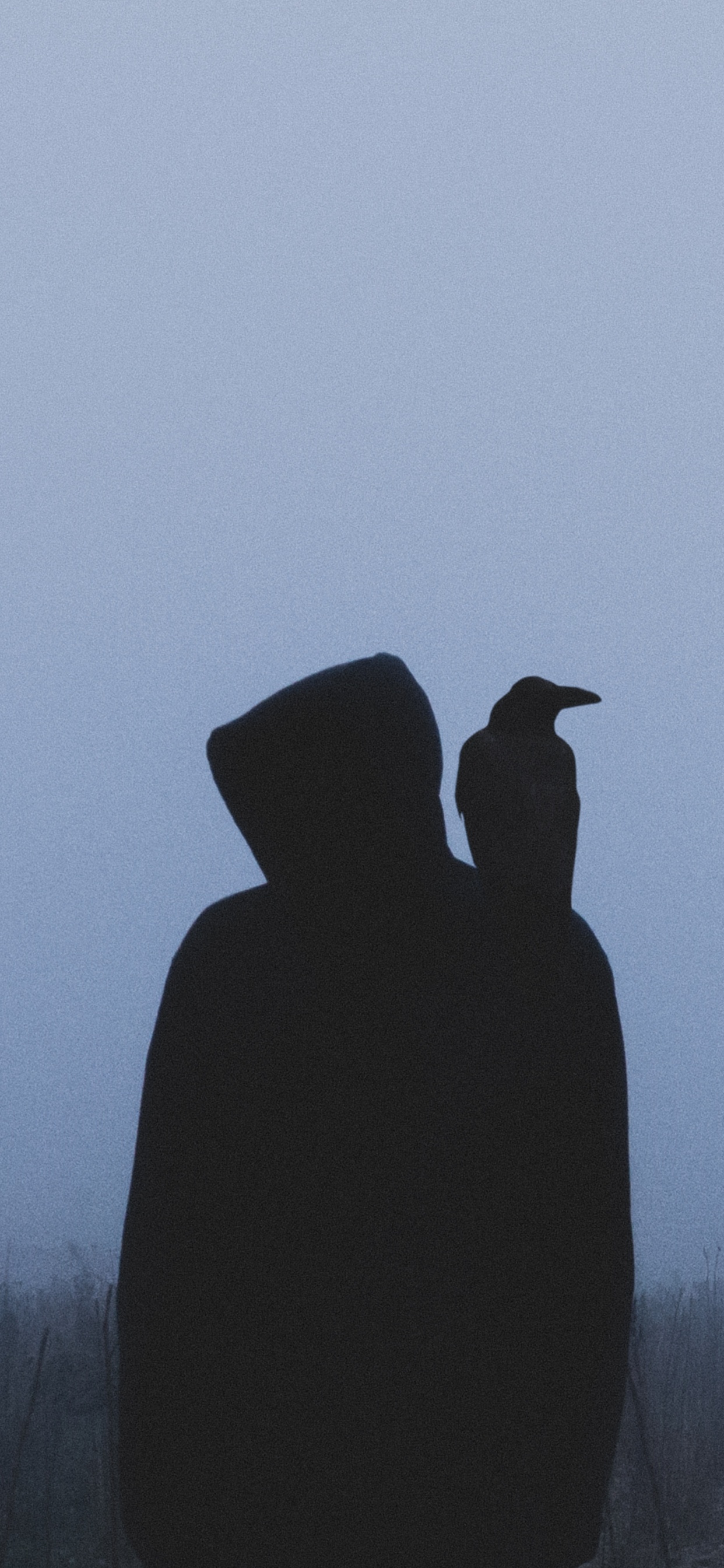 Обои утро, туман, дерево, атмосфера, птица в разрешении 1242x2688