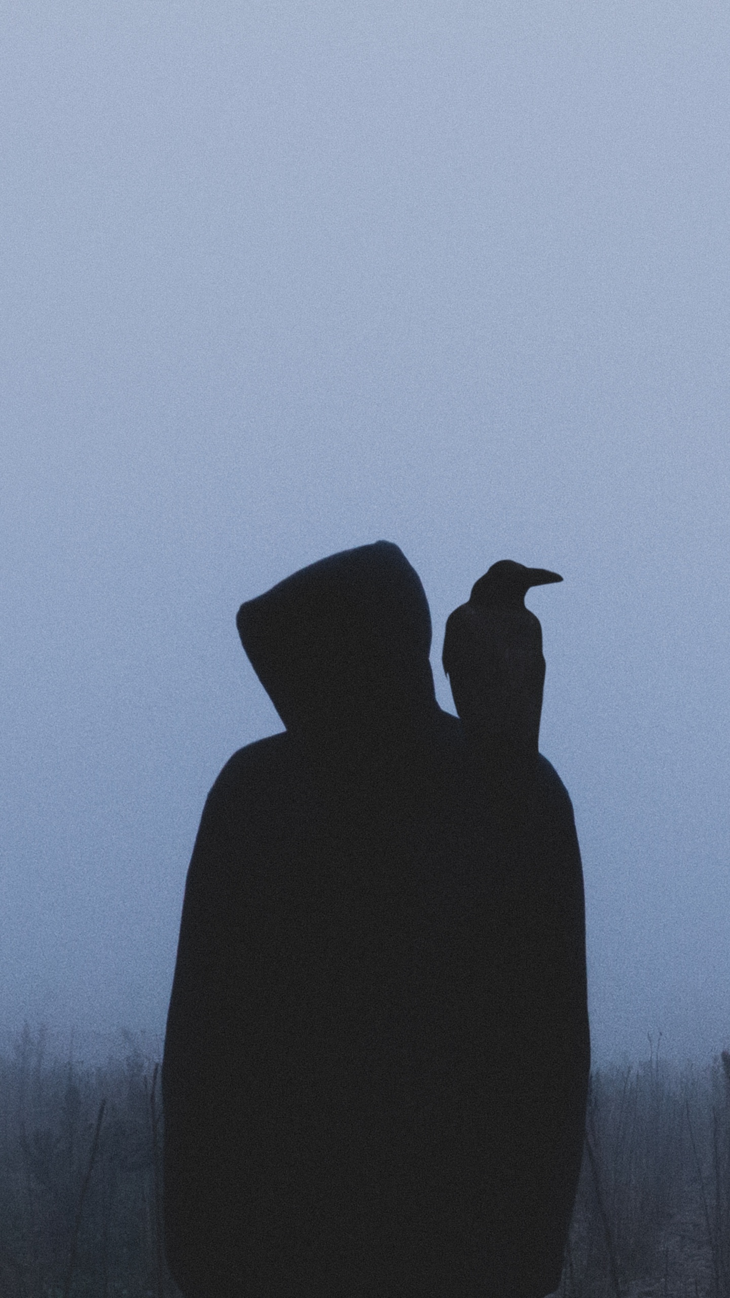 Обои утро, туман, дерево, атмосфера, птица в разрешении 1440x2560