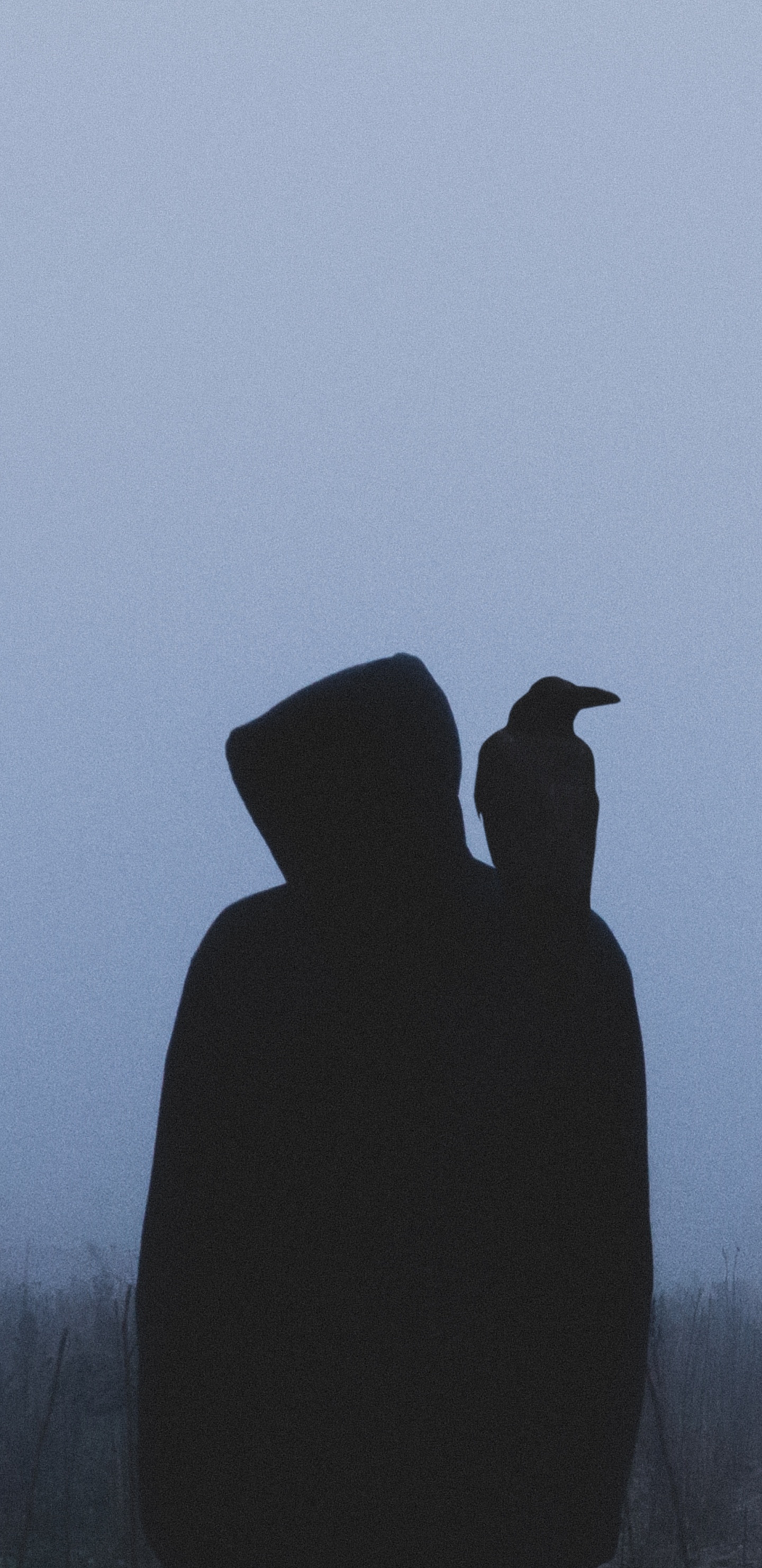 Обои утро, туман, дерево, атмосфера, птица в разрешении 1440x2960