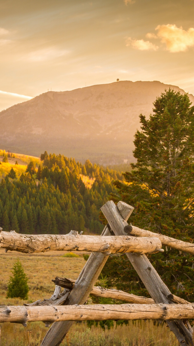 Обои облако, гора, растение, экорегион, природный ландшафт в разрешении 750x1334