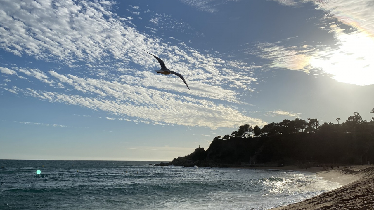 Обои море, вода, пляж, физика, наука в разрешении 1280x720