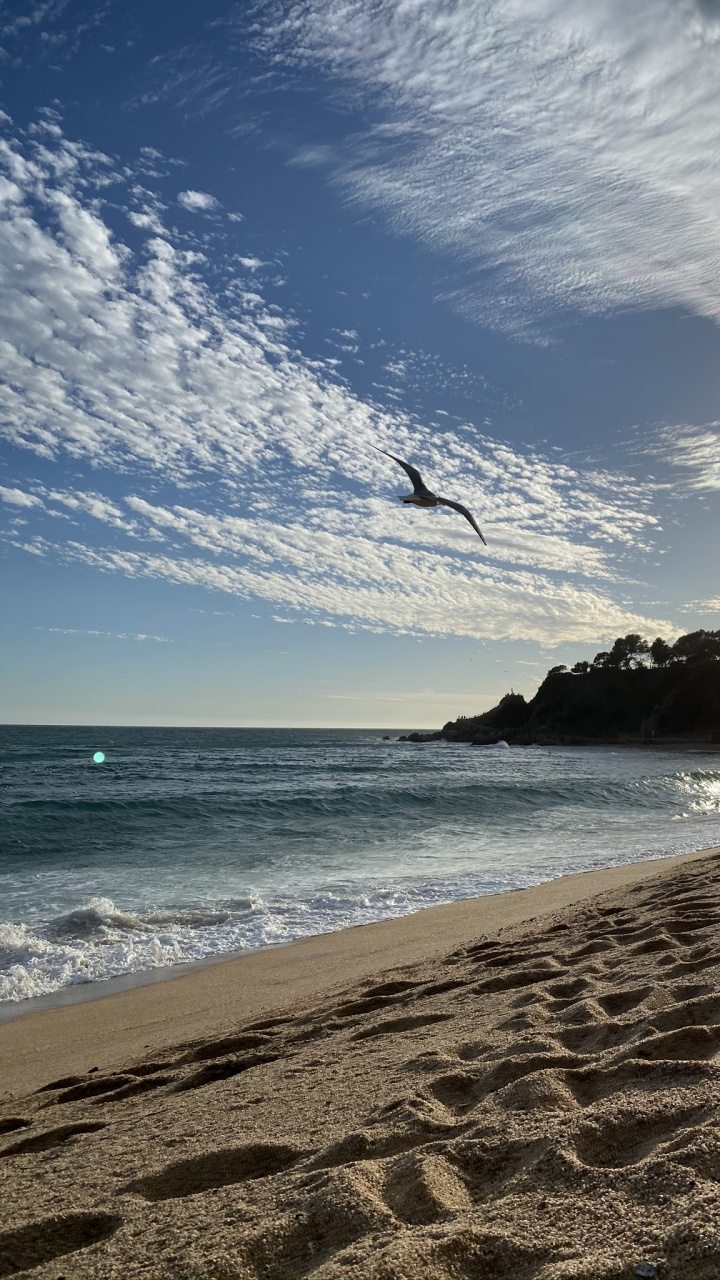 Обои море, вода, пляж, физика, наука в разрешении 720x1280