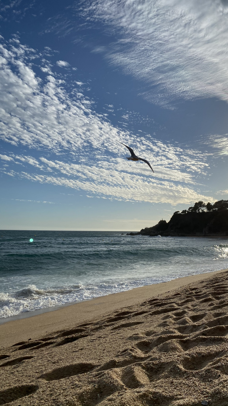 Обои море, вода, пляж, физика, наука в разрешении 750x1334