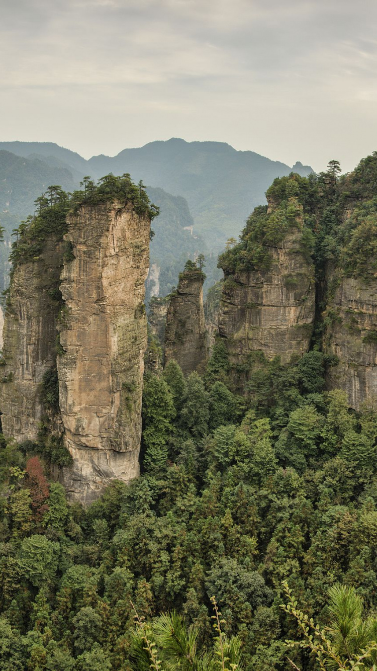 Обои Huangshizhai, Горы Тяньцзи, национальный парк, растительность, природа в разрешении 750x1334