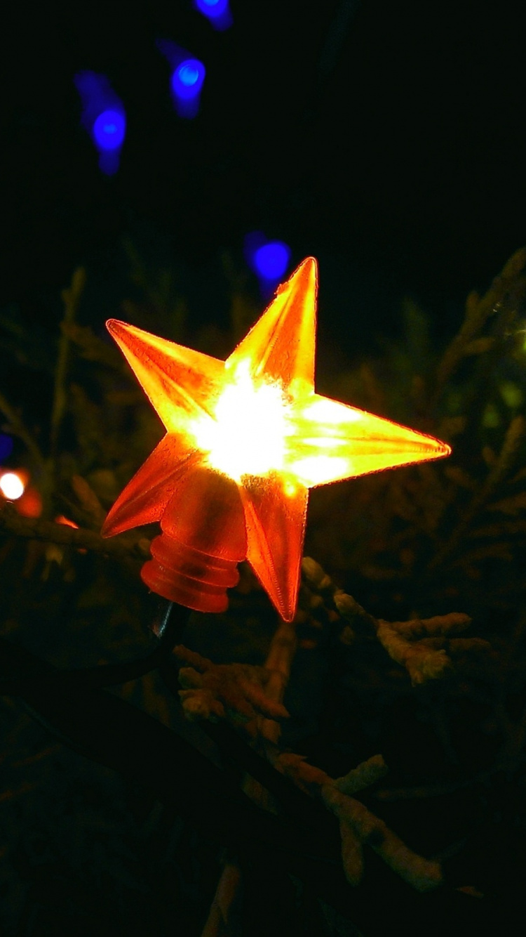 Обои свет, освещение, ночь, темнота, растение в разрешении 750x1334