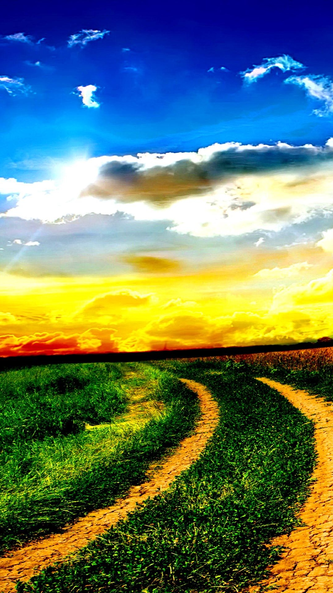 Обои природа, поле, горизонт, сенокосное угодье, луг в разрешении 1080x1920